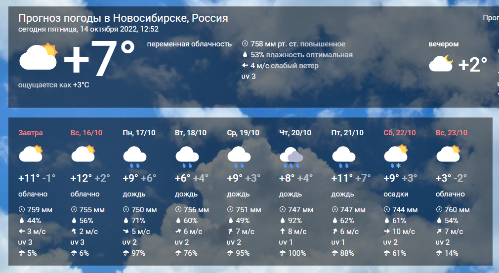 Фото В Новосибирске с 17 октября ожидается неделя дождей 4